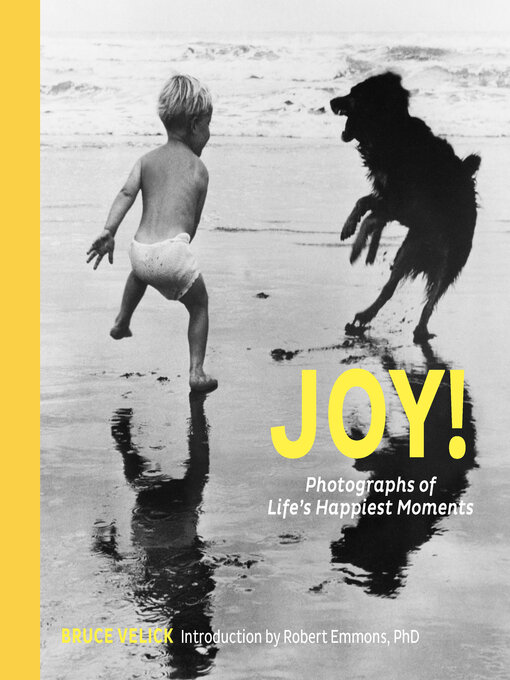 Title details for Joy! by Bruce Velick - Available